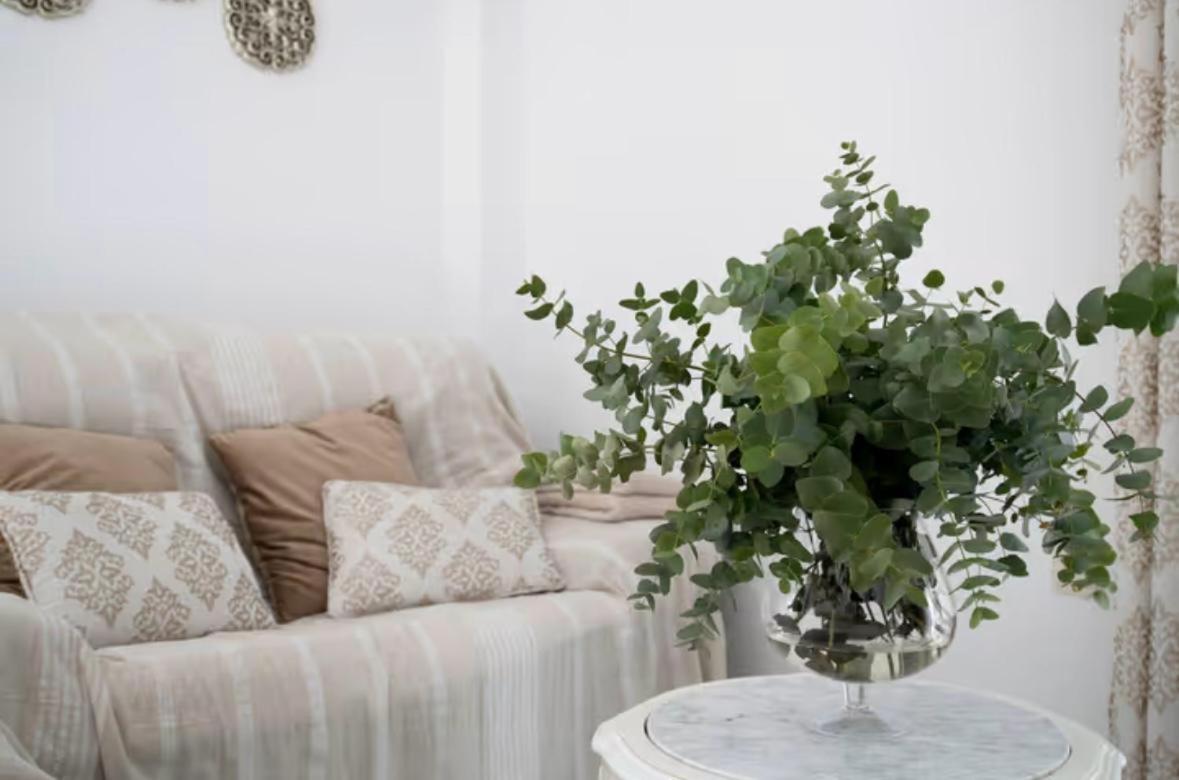 רונדה Apartamento Cataleya מראה חיצוני תמונה